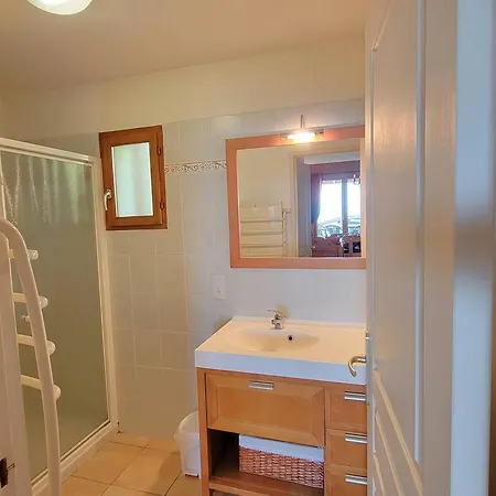 Duplex 8/9 Pers Avec Terrasse Sud, Proche Pistes, Wi-fi, Animaux Ok, Parking + Options - Fr-1-393-92 Apartment